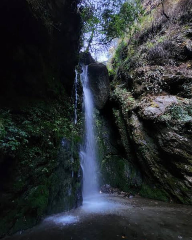 Jibhi Weekend Escape