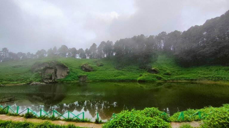 Jibhi
