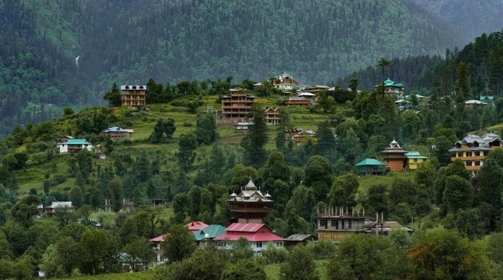 Jibhi