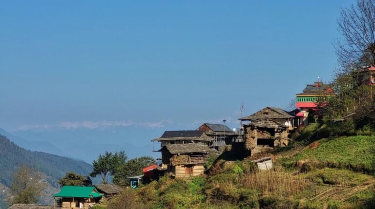 Jibhi