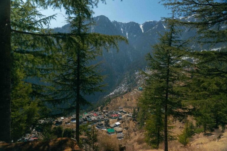 Jibhi