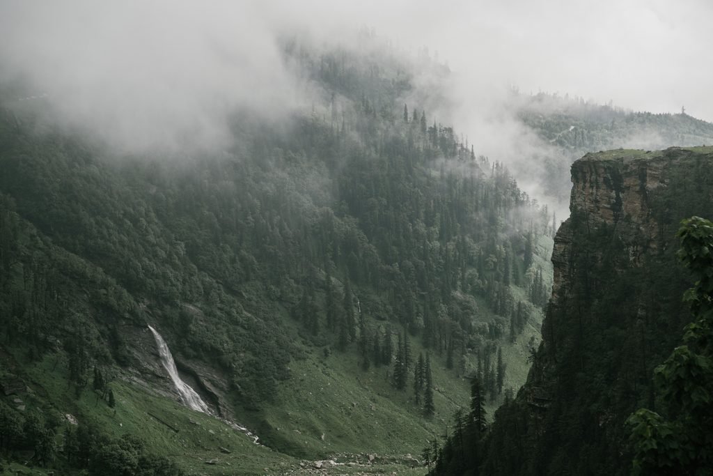 Jibhi