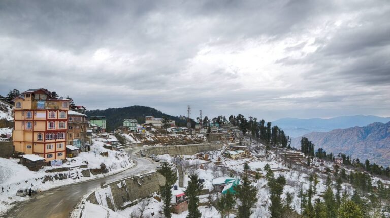 Shimla