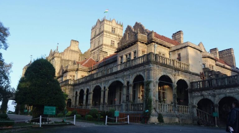 Shimla